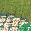 Picture of Ground Guard Grass Grid 585 x 385mm