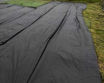 Picture of TDP50 Landscape Fabric 1m x 14m