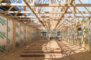 Picture for category Structural Timber
