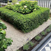 Picture of Small Bag Cotswold Chippings 10-20mm