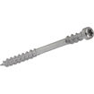 Picture of Spax T20 Decking Screw Wirox Coated 4.5 x 60mm Tub of 250