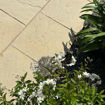 Picture of Brett Stamford Riven Concrete Paving Slabs 450x450x32mm Buff 