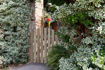 Picture of Grange Domed Ledged & Braced Path Gate DOMLBGT  1.05m x 0.9m