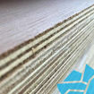 Picture of 18mm x 2440x1220 B/BB Hardwood Plywood EN636-2S Class 3