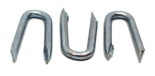 Picture of 40mm x 4.00mm Galvanised Staples 1kg